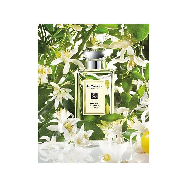 jo-malone-london-orange-blossom-edc-100-ml