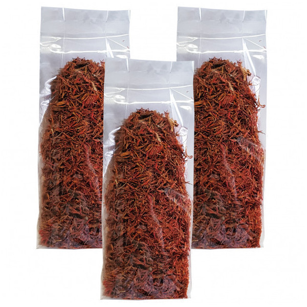 cvijet-safrana-3-x