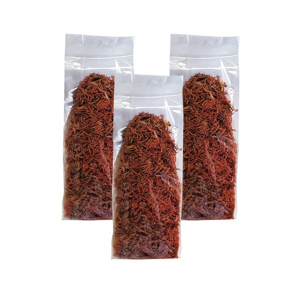 cvijet-safrana-3-x